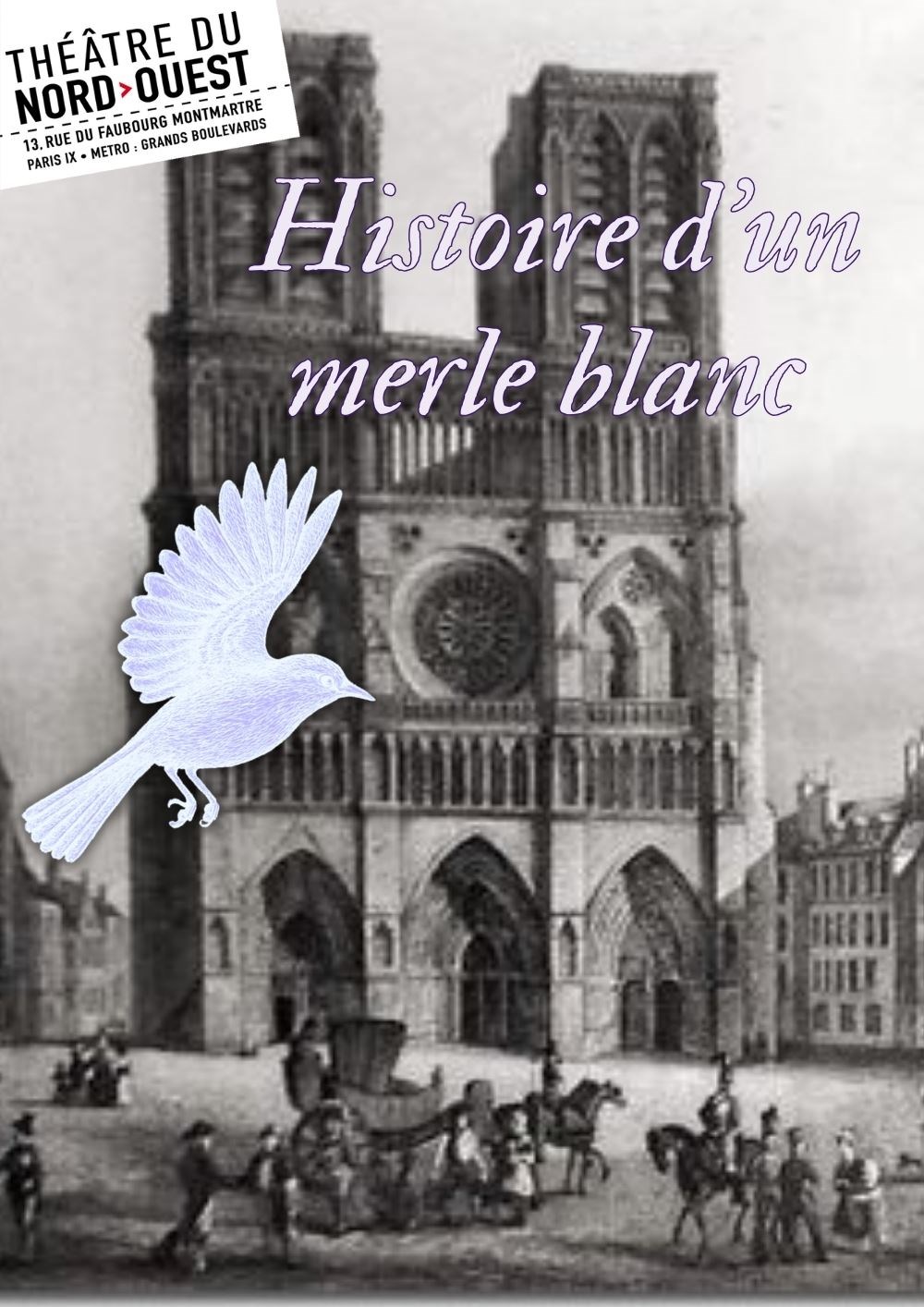 Histoire d'un merle blanc