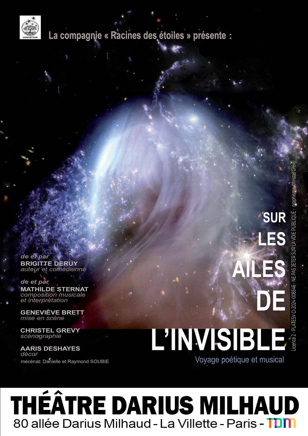 Sur les ailes de l'invisible