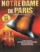 Notre Dame de Paris 2025-2026