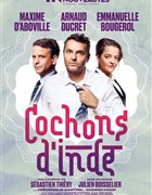 Cochons d'Inde avec Arnaud Ducret