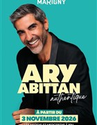 Ary Abittan dans Authentique