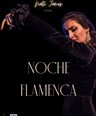 Noche Flamenca Nati James