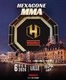 Hexagone MMA Lille