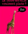 La terre est-elle plate ?