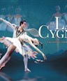 Le Lac des Cygnes
