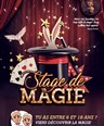 Stage de Magie