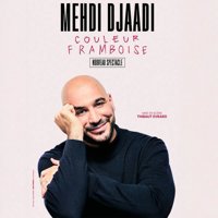 Mehdi Djaadi dans Couleur Framboise - Le Rocher de Palmer