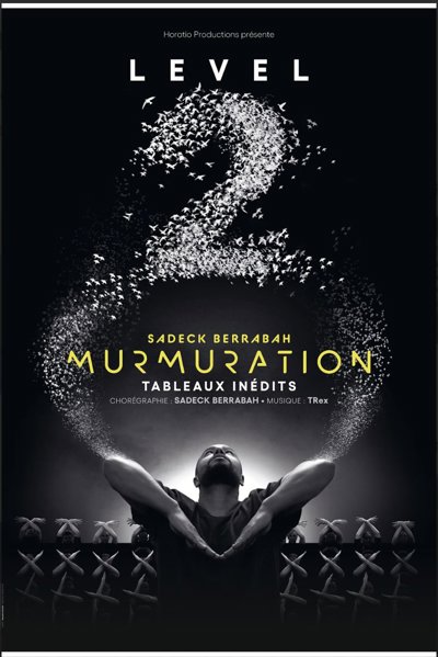 Murmuration Level 2 · 30 janv. 2027 à Aubervilliers | Billets et infos