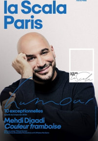 Mehdi Djaadi dans Couleur Framboise - La Scala Paris - Grande Salle