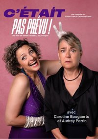 C'était pas prévu - Le Violon dingue