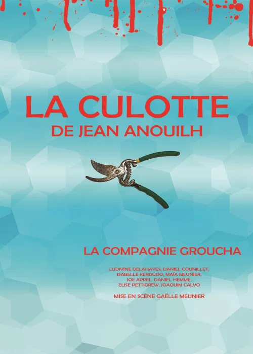 Affiche de La culotte