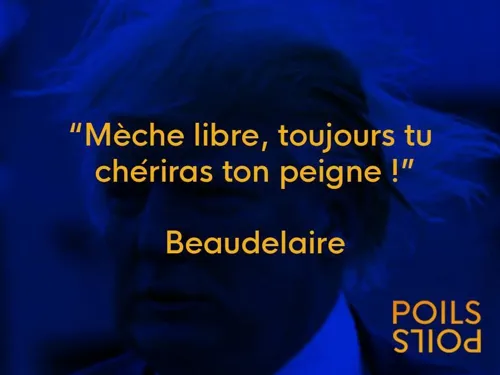 Photo 6 de Poils