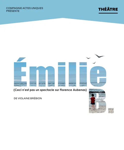 Affiche de Emilie B. (Ceci n'est pas un spectacle sur Florence Aubenas)