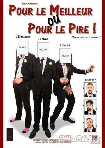 Affiche de Pour le meilleur ou pour le pire