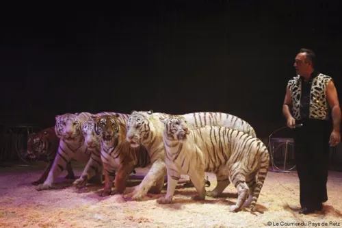 Photo 2 de Le Cirque La Piste d'Or dans Happy Birthday