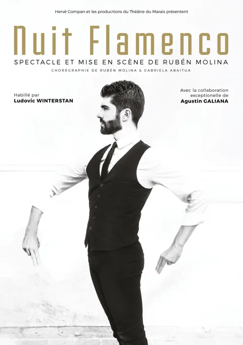 Affiche de Nuit Flamenco