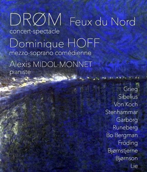 Affiche de DRØM - Lumières du Nord