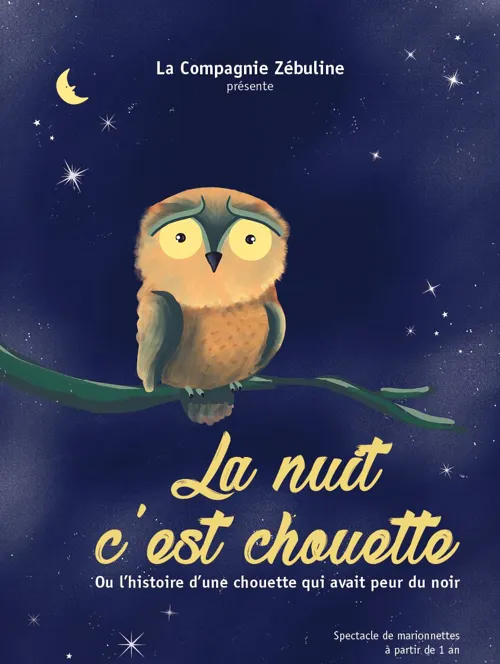 Affiche de La nuit c'est chouette