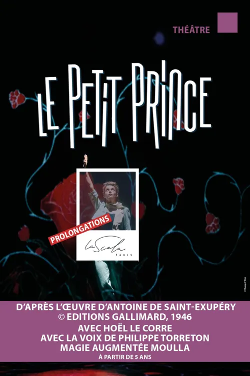 Affiche de Le petit prince