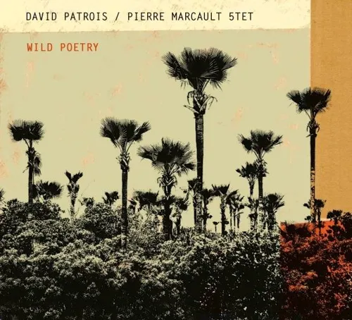 Affiche de David Patrois & Pierre Marcault quintet Wild poetry