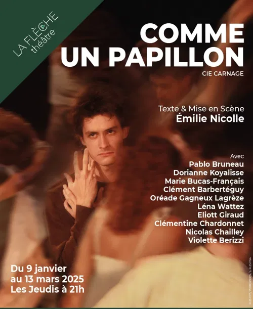 Affiche de Comme un papillon