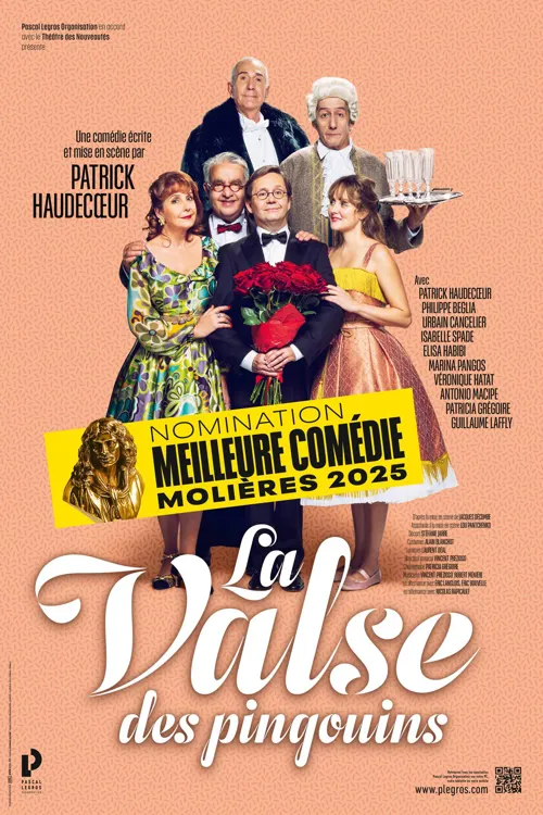 Affiche de La Valse des Pingouins