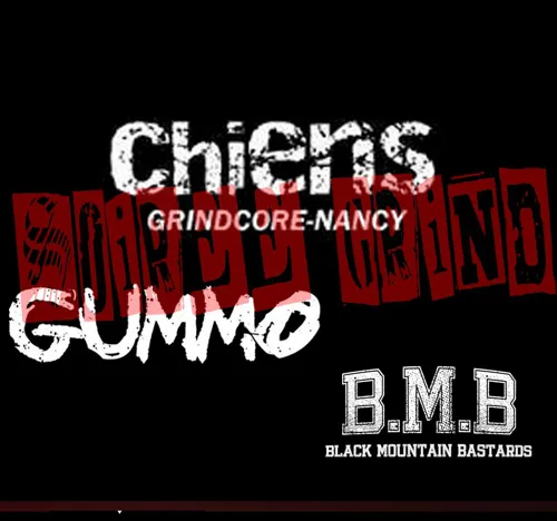 Affiche de Chiens + Gummo + BMB