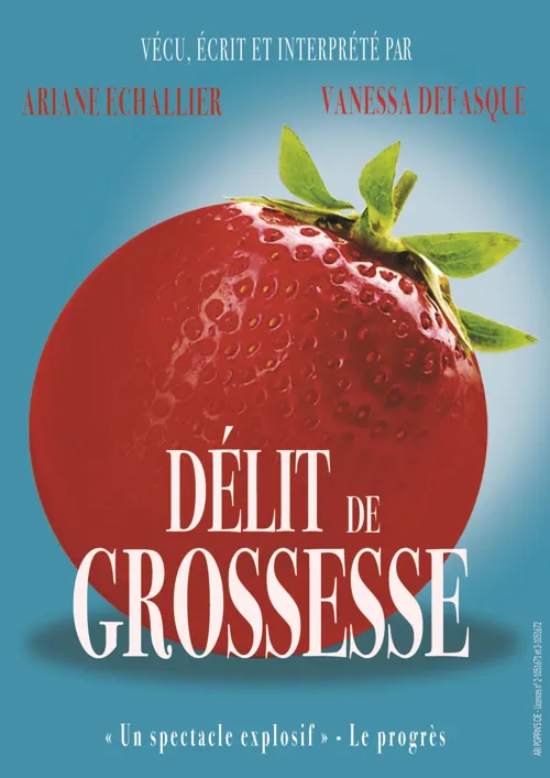 Affiche de Délit de grossesse