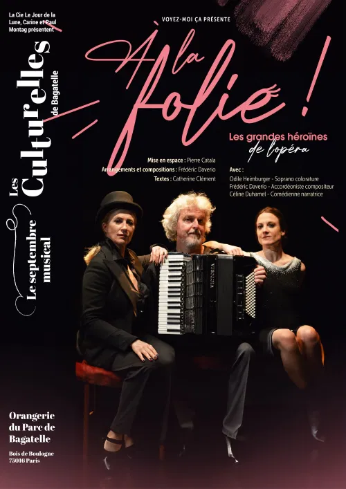 Affiche de A la Folie !