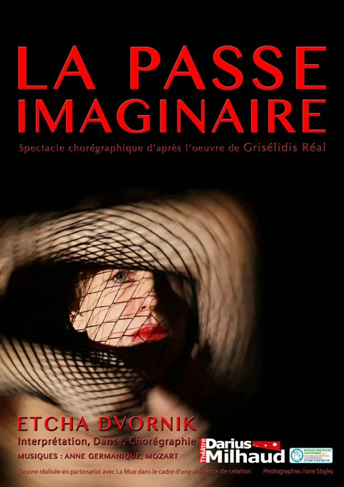Affiche de La Passe imaginaire