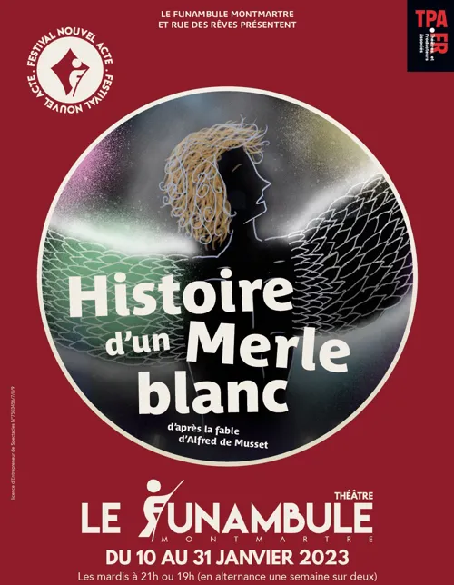 Affiche de Histoire d'un merle blanc