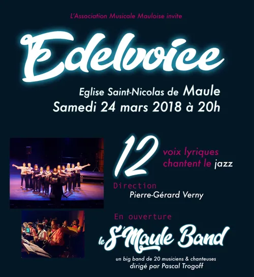 Affiche de Edelvoice