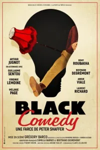 Black Comedy | avec Guillaume Sentou et Virginie Lemoine - 