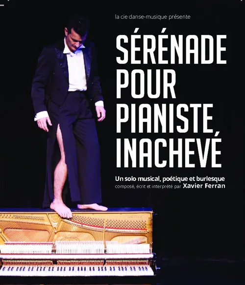 Affiche de Sérénade pour pianiste inachevé
