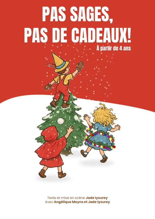 Affiche de Pas sages, pas de cadeaux !