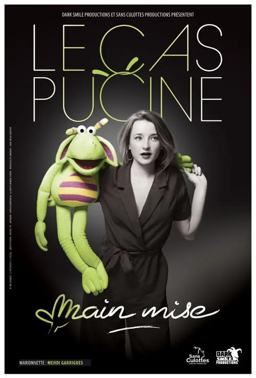 Affiche de Le Cas Pucine dans Main Mise