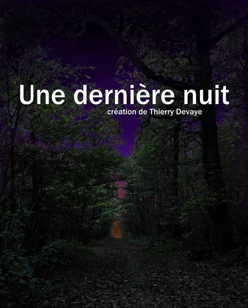 Affiche de Une dernière nuit