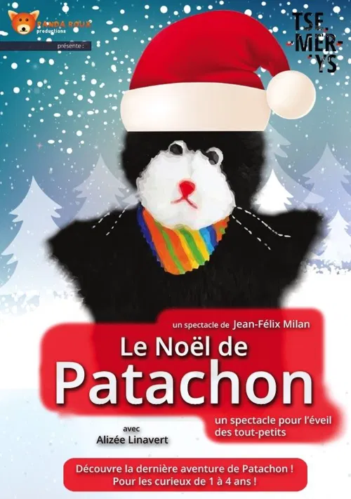 Affiche de Le Noël de Patachon