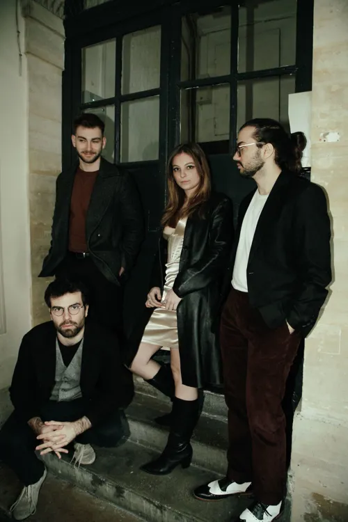 Affiche de Lady in Velour