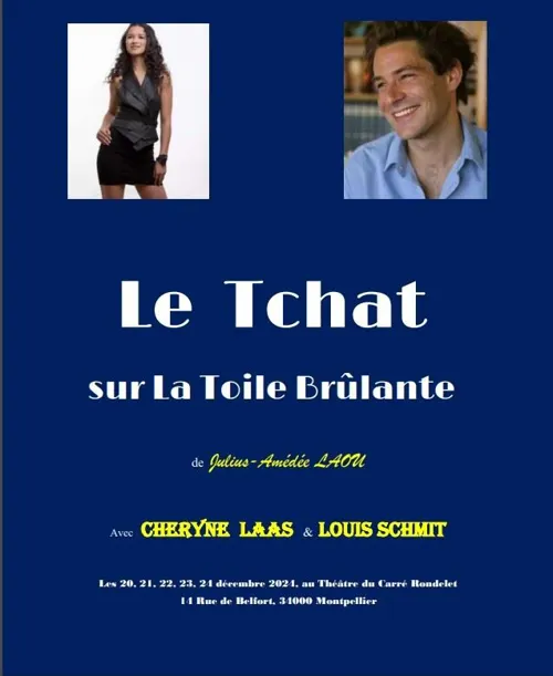 Affiche de Le Tchat sur la Toile Brûlante