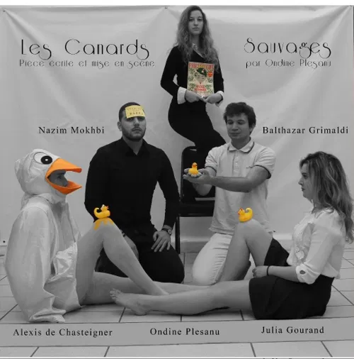 Affiche de Les canards sauvages