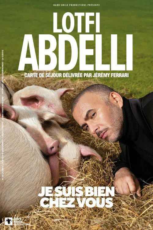 Affiche de Lotfi Abdelli dans Je suis bien chez vous