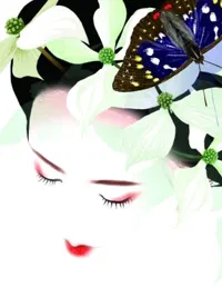 Madame Butterfly - 
