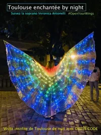 Toulouse Enchantée by night | par Veronica Antonelli - 