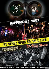 TeddyBeer + The Poppy Mowers - 