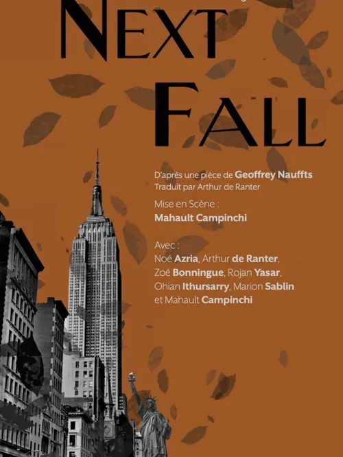 Affiche de Next fall