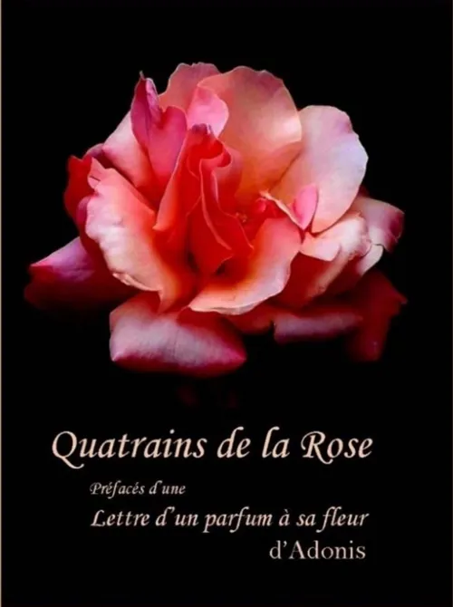 Affiche de Quatrains de la roses