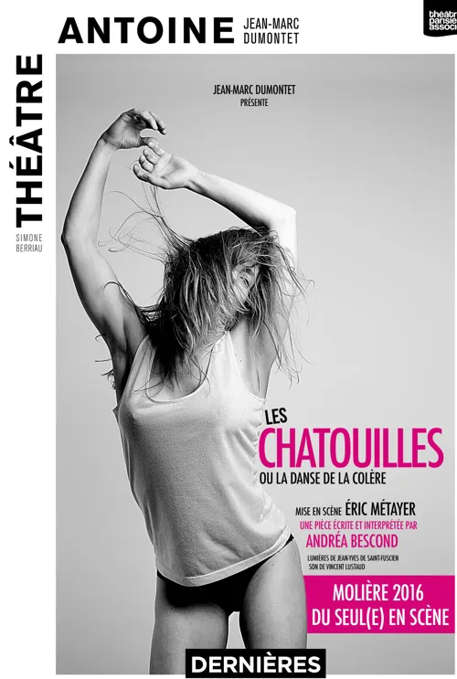 Affiche de Les chatouilles ou la danse de la colère | Les dernières