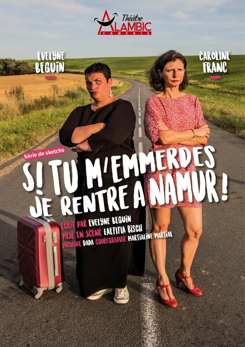 Affiche de Si tu m'emmerdes, je rentre à Namur !