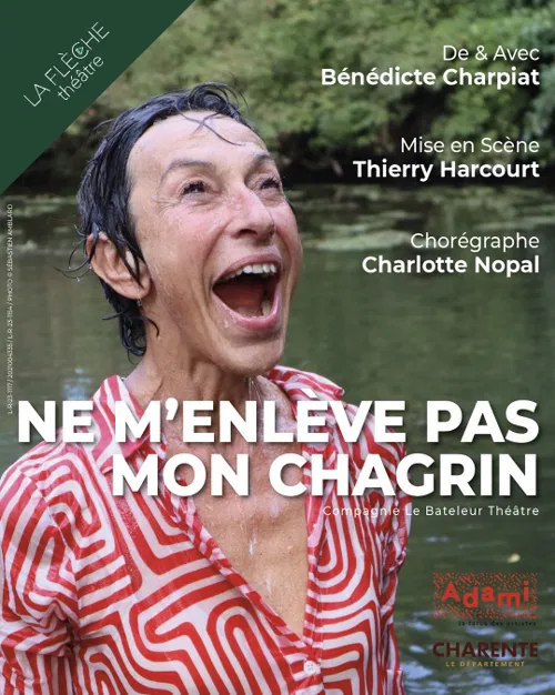 Affiche de Ne m'enlève pas mon chagrin
